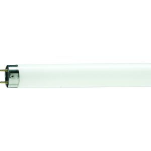 Лампа Philips MASTER TL-D Super 80 36W/840 1SL/25
